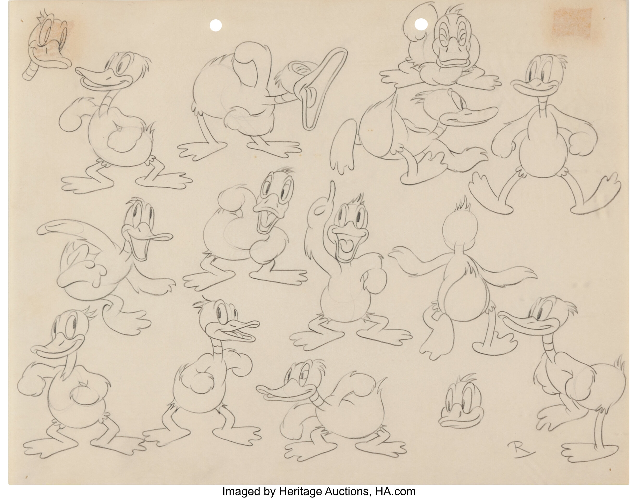 Daffy Duck Model Sheet Drawing Original Art (Warner Brothers, | Lot ...