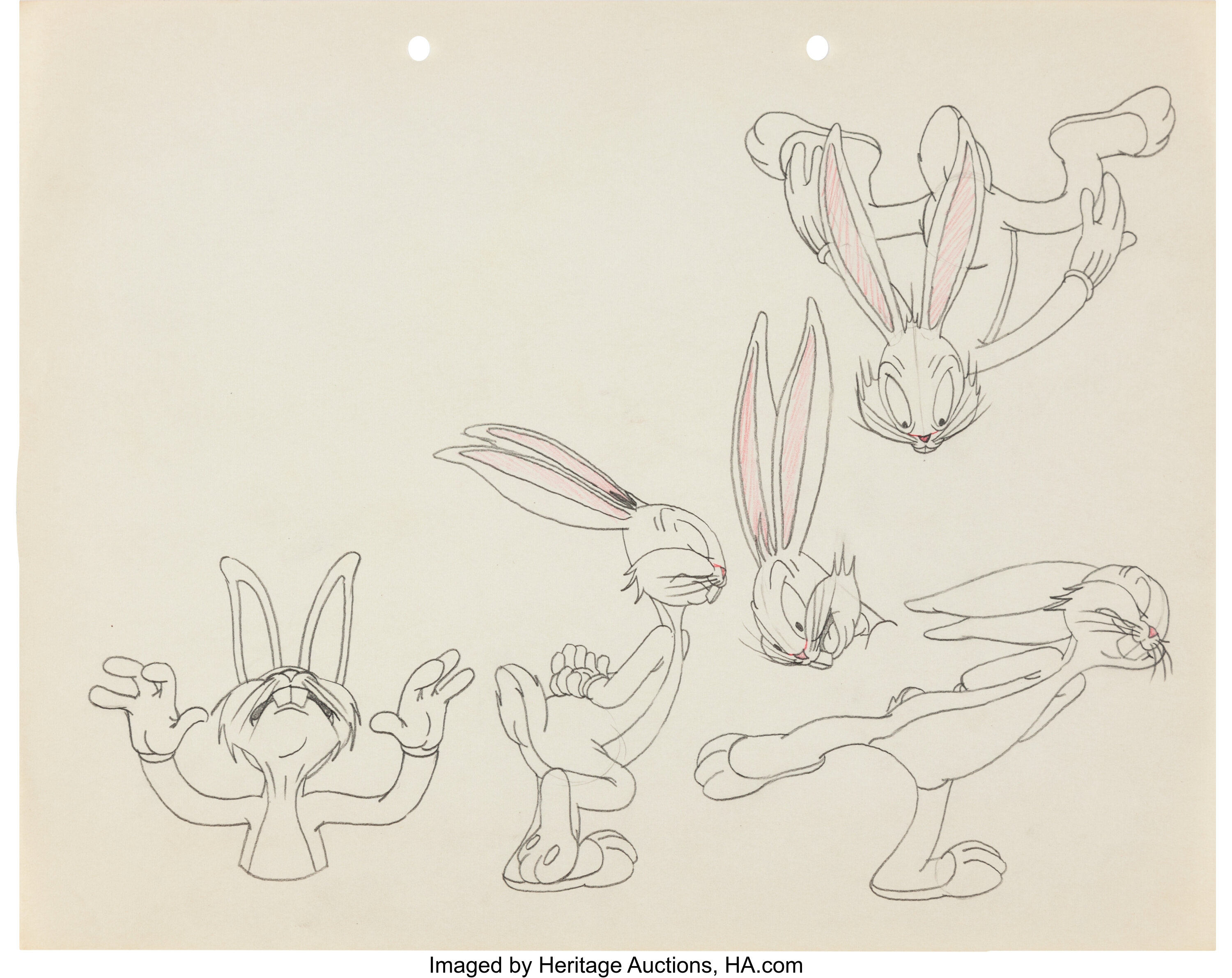 Bugs Bunny Gets the Boid Bugs Bunny Model Sheet Drawing (Warner | Lot ...