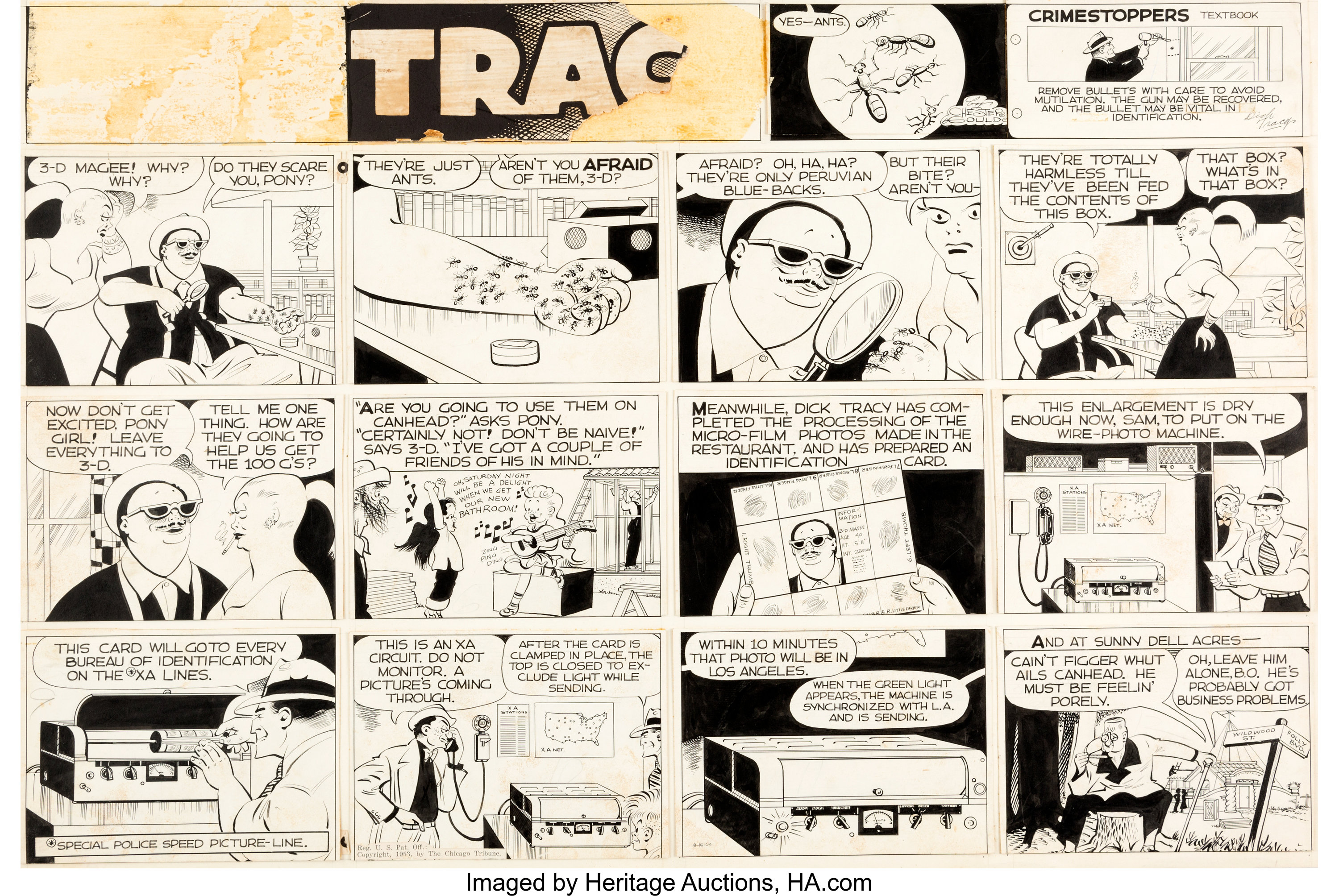 Chester Gould Dick Tracy Sunday Comic Strip Original Art dated | Lot ...