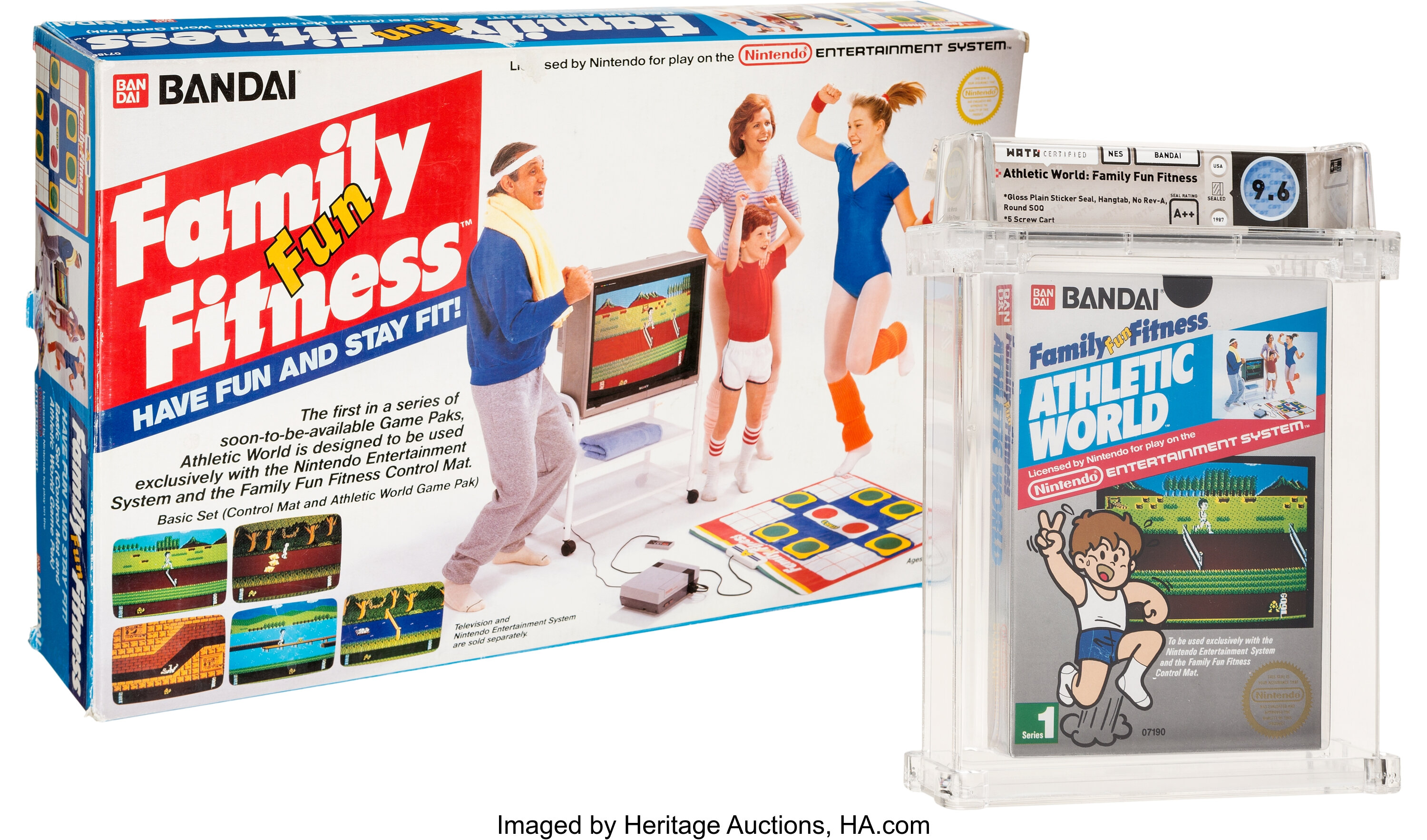 Family fun on sale fitness nes