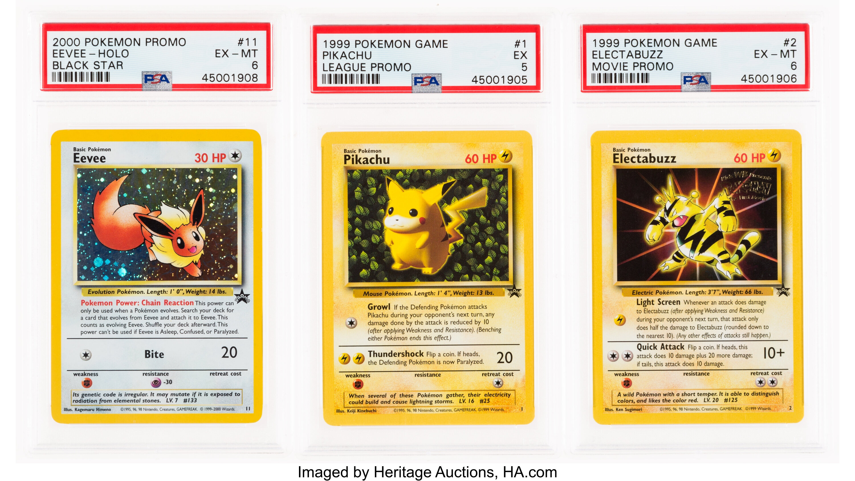 Pokemon Electabuzz Eevee And Pikachu Black Star Promo Wizards Of Lot 17974 Heritage Auctions