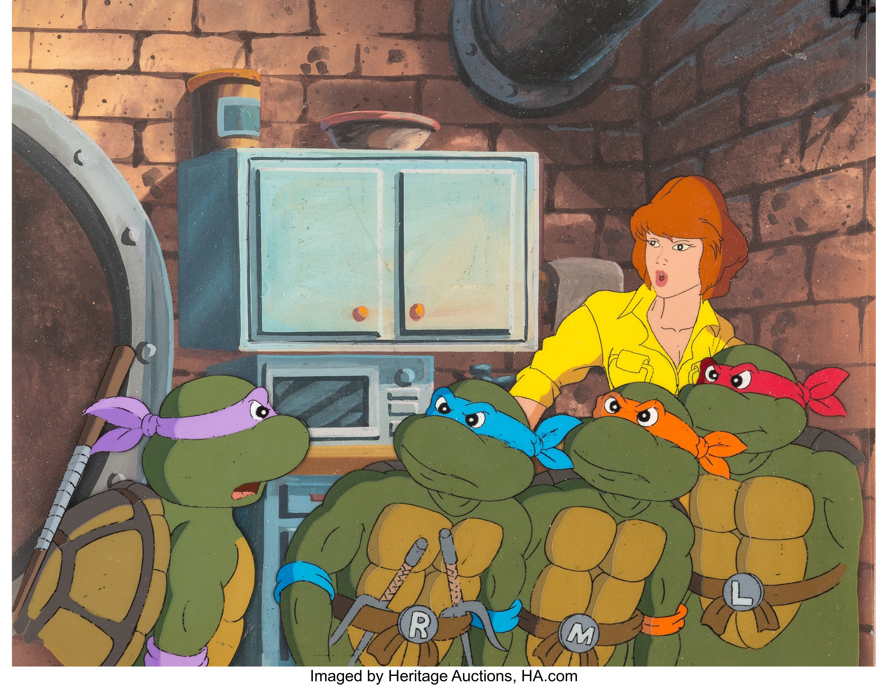 Teenage Mutant Ninja Turtles Donatello Michaelangelo Leonardo and Raph – A  Birthday Place