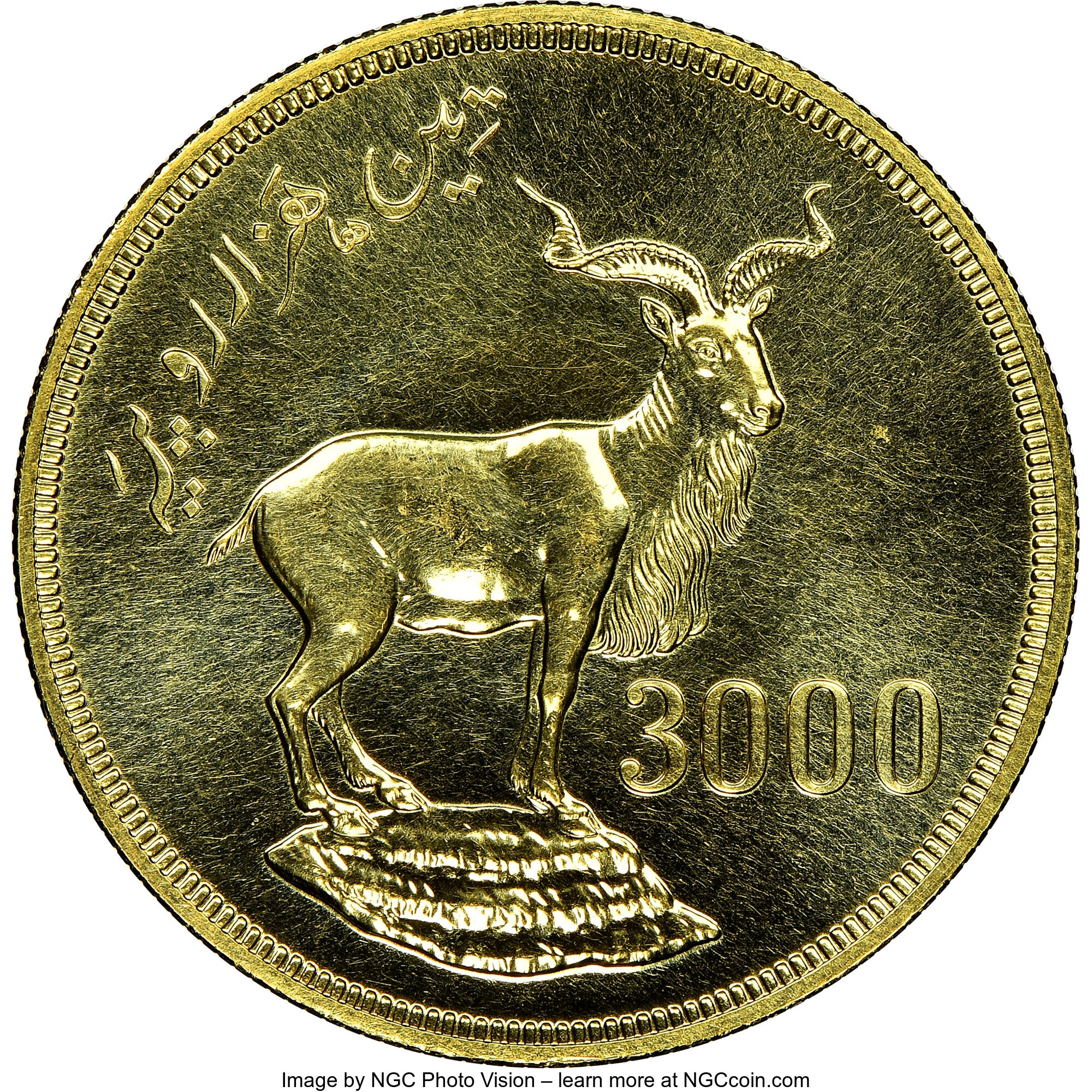 Pakistan: Republic gold 