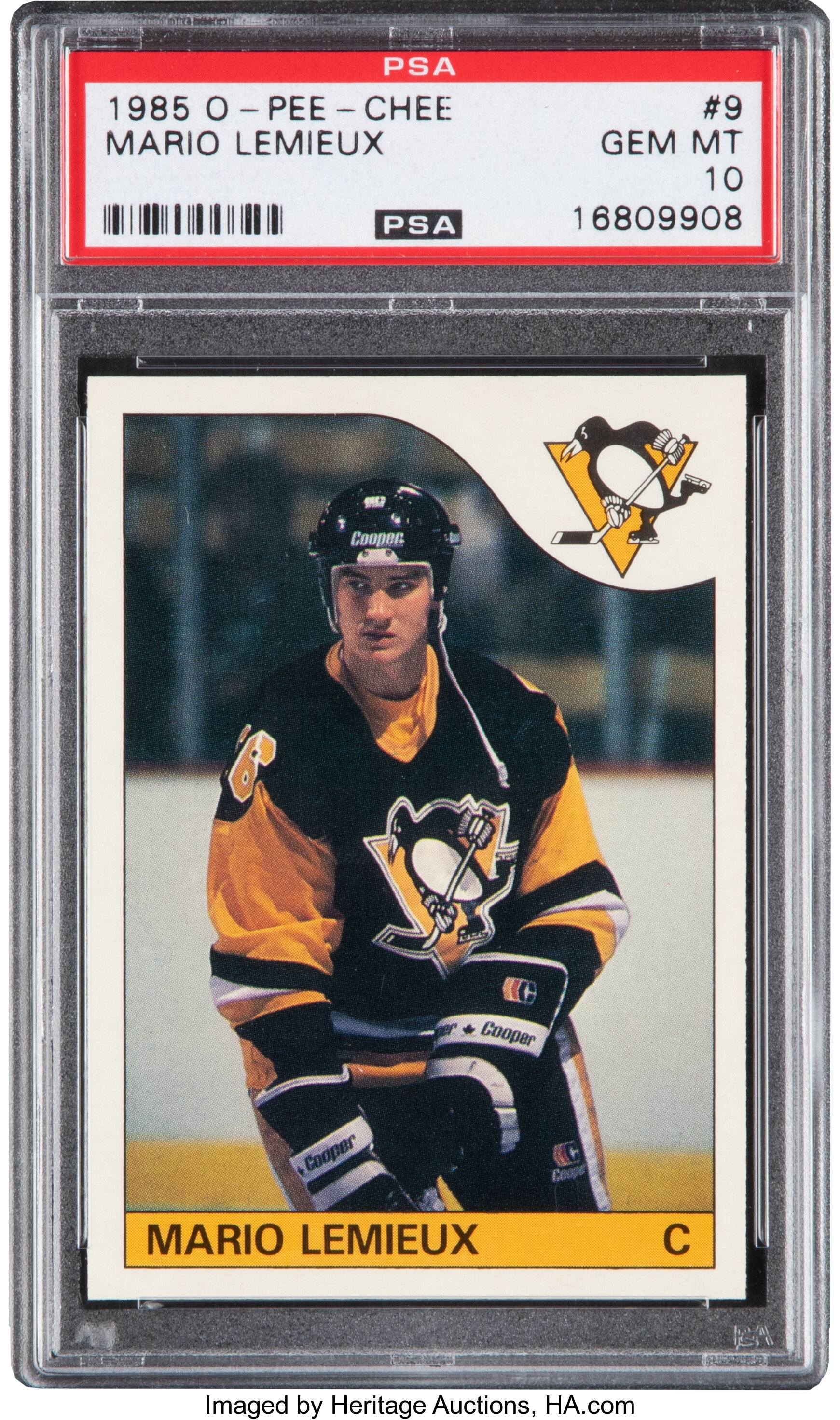 The Magnificent One: The Story of Mario Lemieux (NHL)