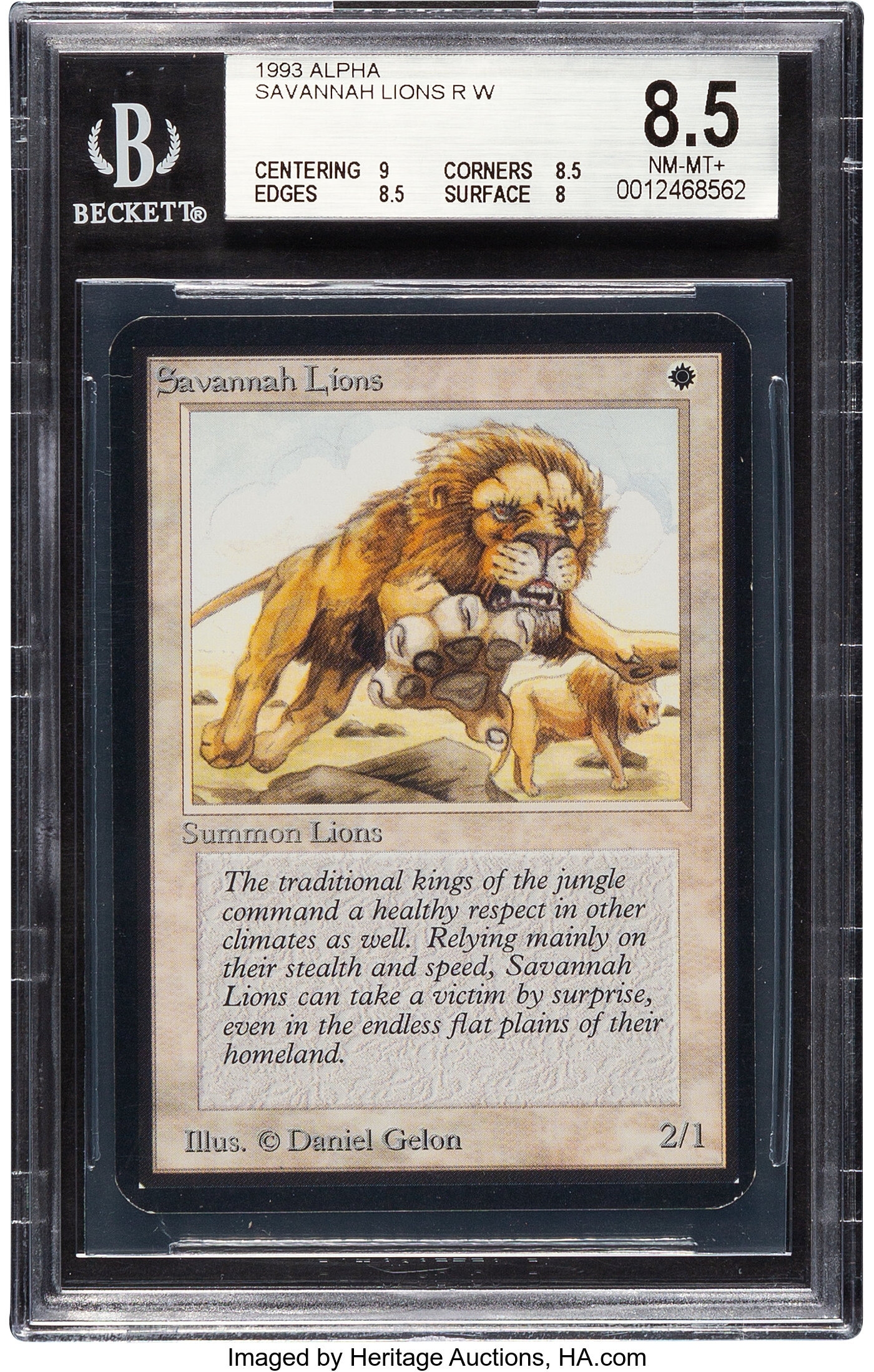 Magic: The Gathering Savannah Lions Alpha Edition BGS 8.5 (Wizards