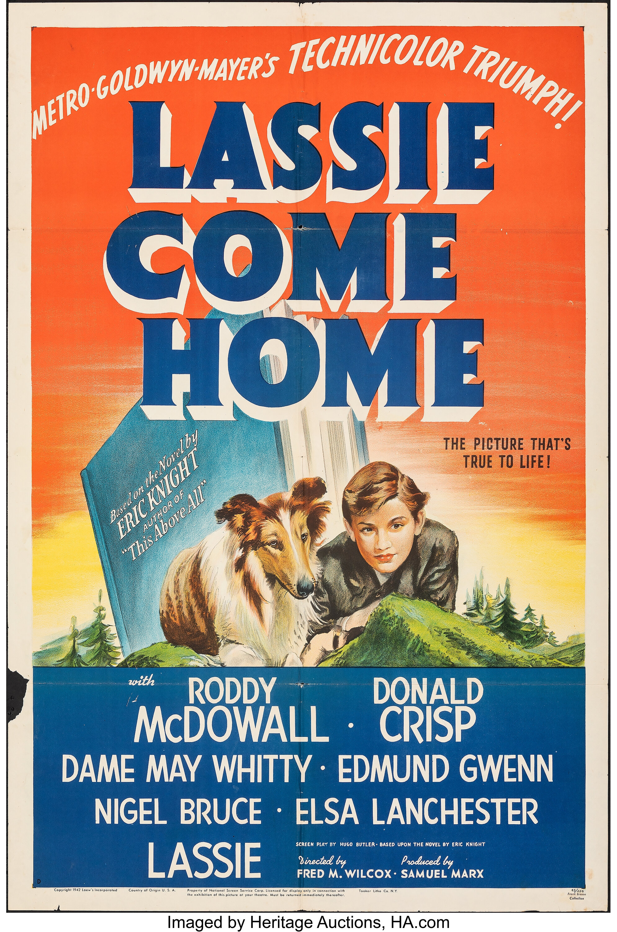 3 LASSIE Films LASSIE COME HOME SON of LASSIE Elizabeth Taylor