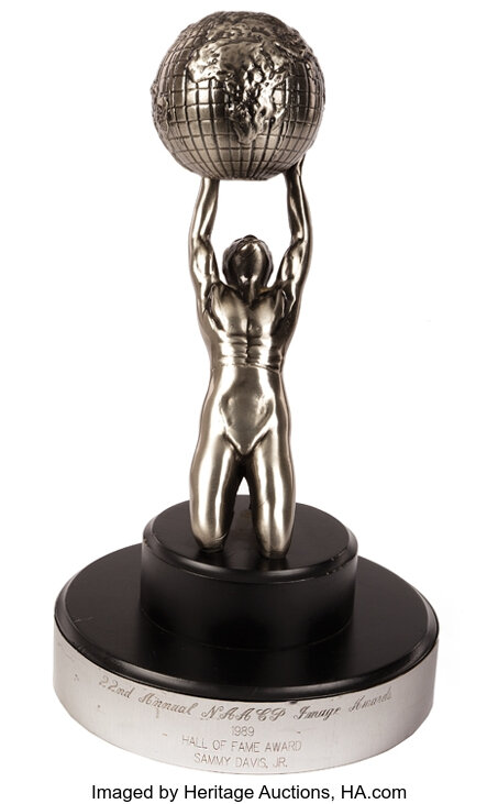 Picture of NAACP Image Award – Hall of Fame Award