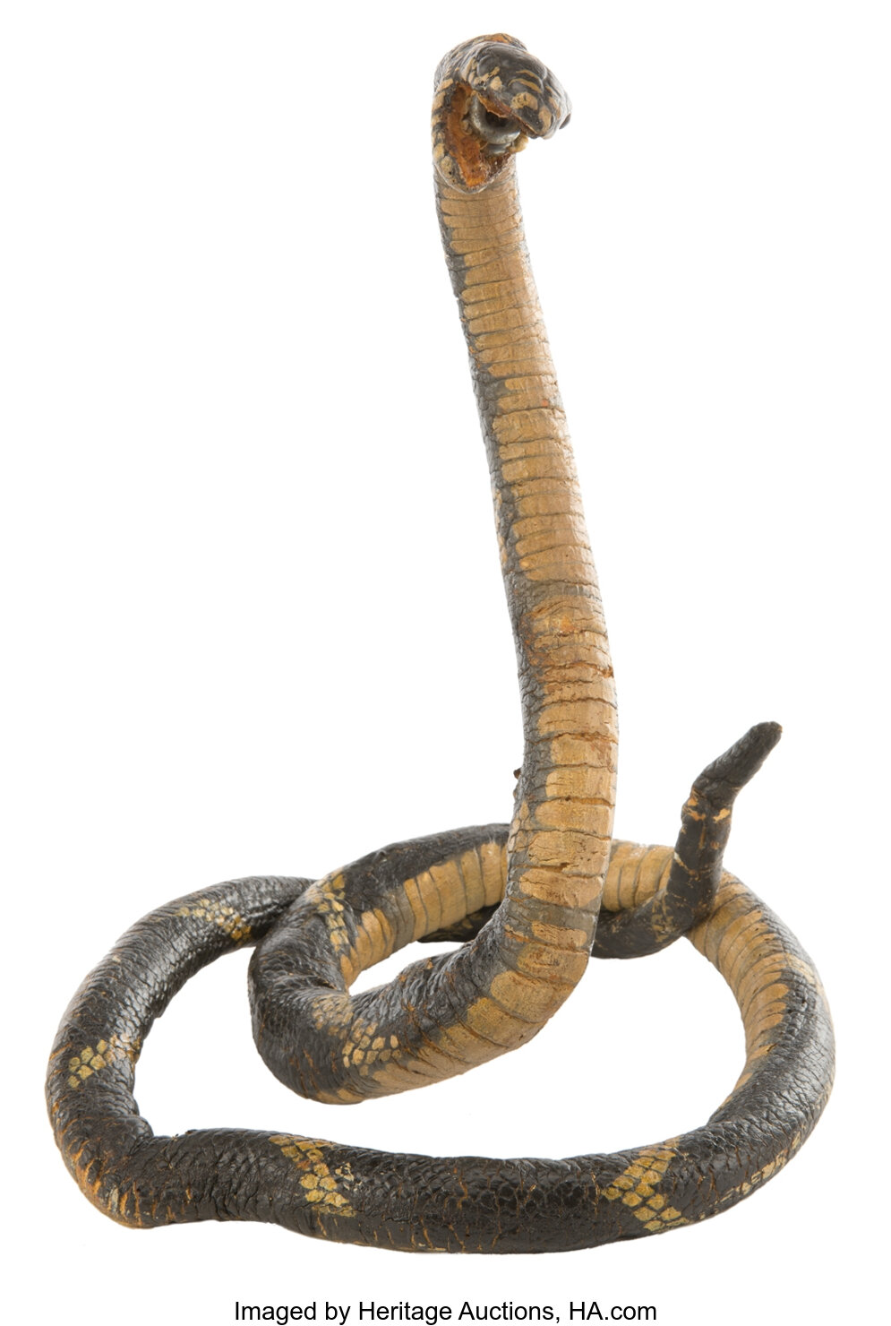 Striking snake prop from Jungle 2 Jungle.... Movie/TV Memorabilia | Lot ...