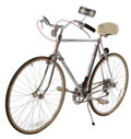 Schwinn voyageur 11.8 online chrome