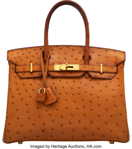 Hermes Birkin Bag Ostrich Leather Gold Hardware In Brown