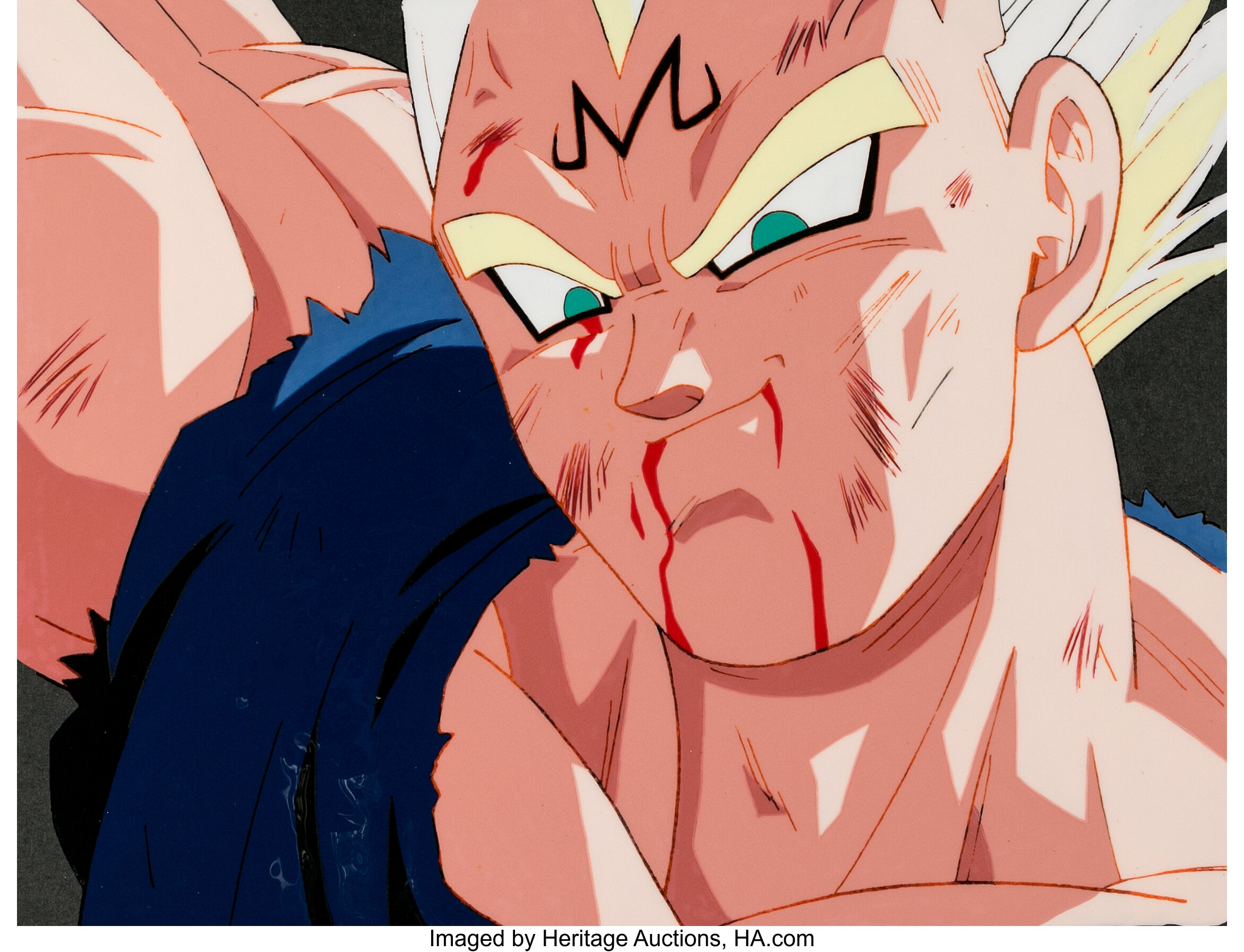  Dragon Ball Z - Season 8 (Babidi & Majin Buu Sagas