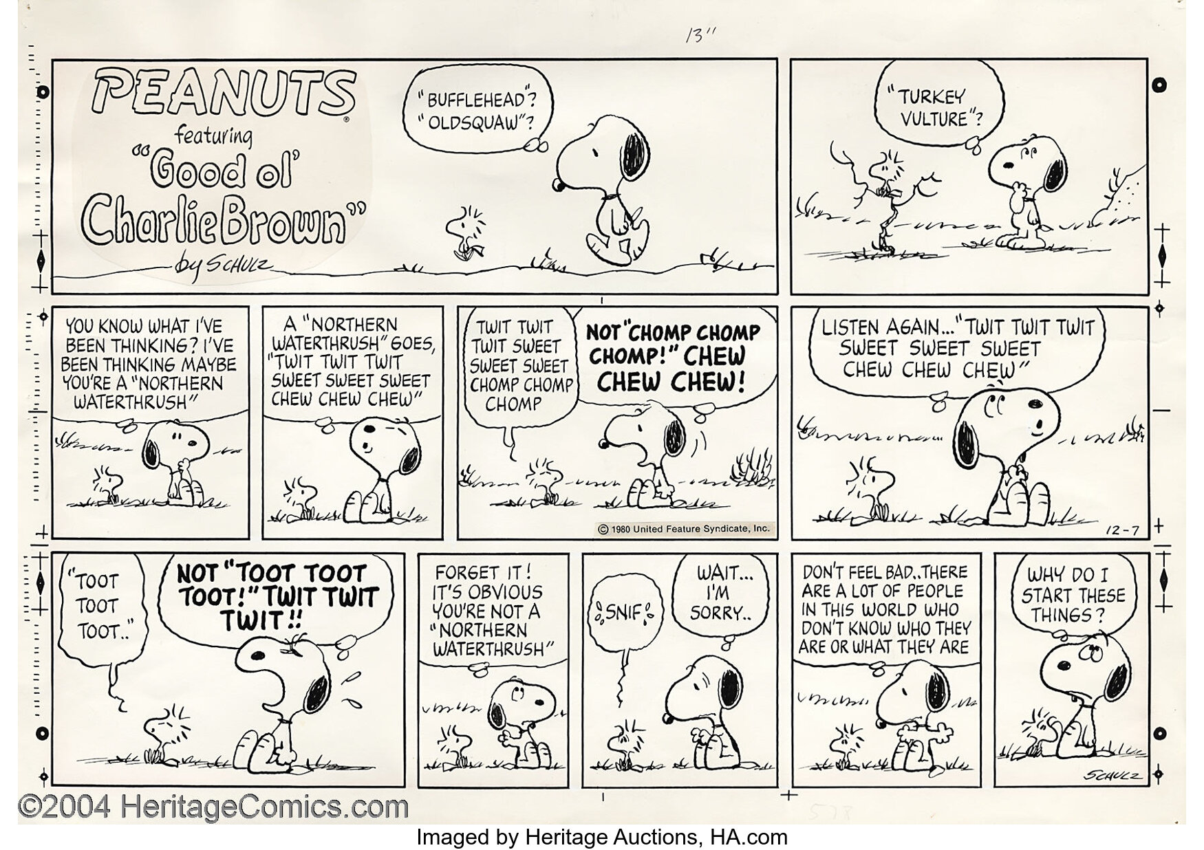 snoopy cartoon strip