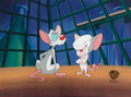 Pinky and the Brain 