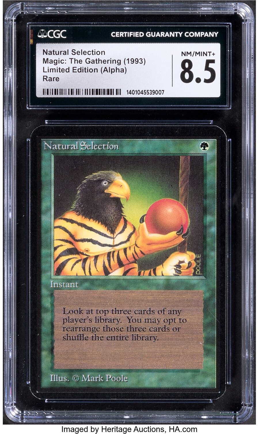 Magic: The Gathering Natural Selection Limited Edition (Alpha) CGC Trading Card Game NM/Mint+ 8.5 (Wizards of the Coast, 1993)