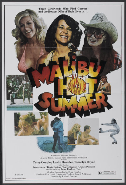 Malibu Hot Summer Cineworld 1986 One Sheet 25 X 37 Lot 53180 Heritage Auctions