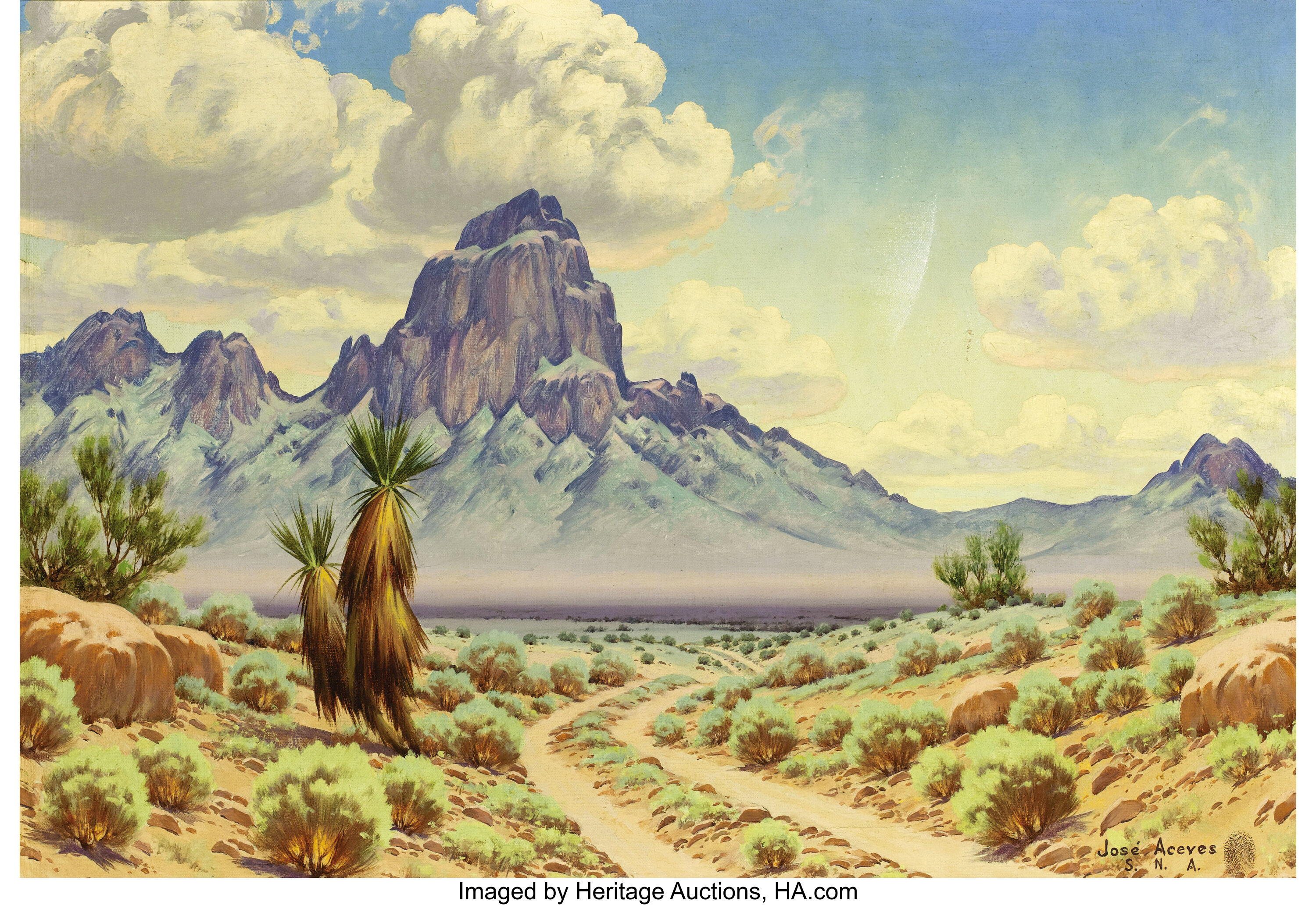 mexico desert landscape