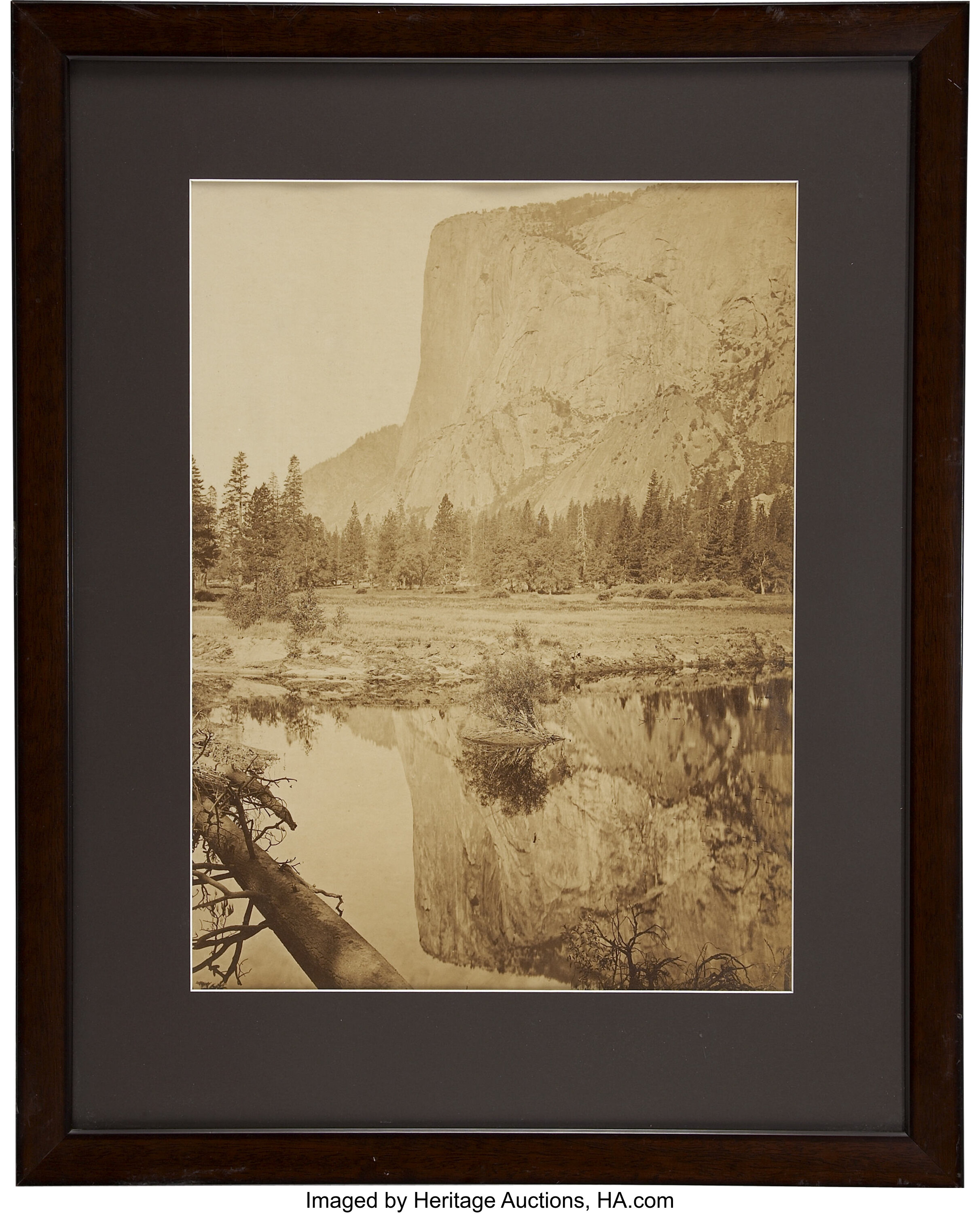 Mammoth Plate Carleton Watkins Photograph 