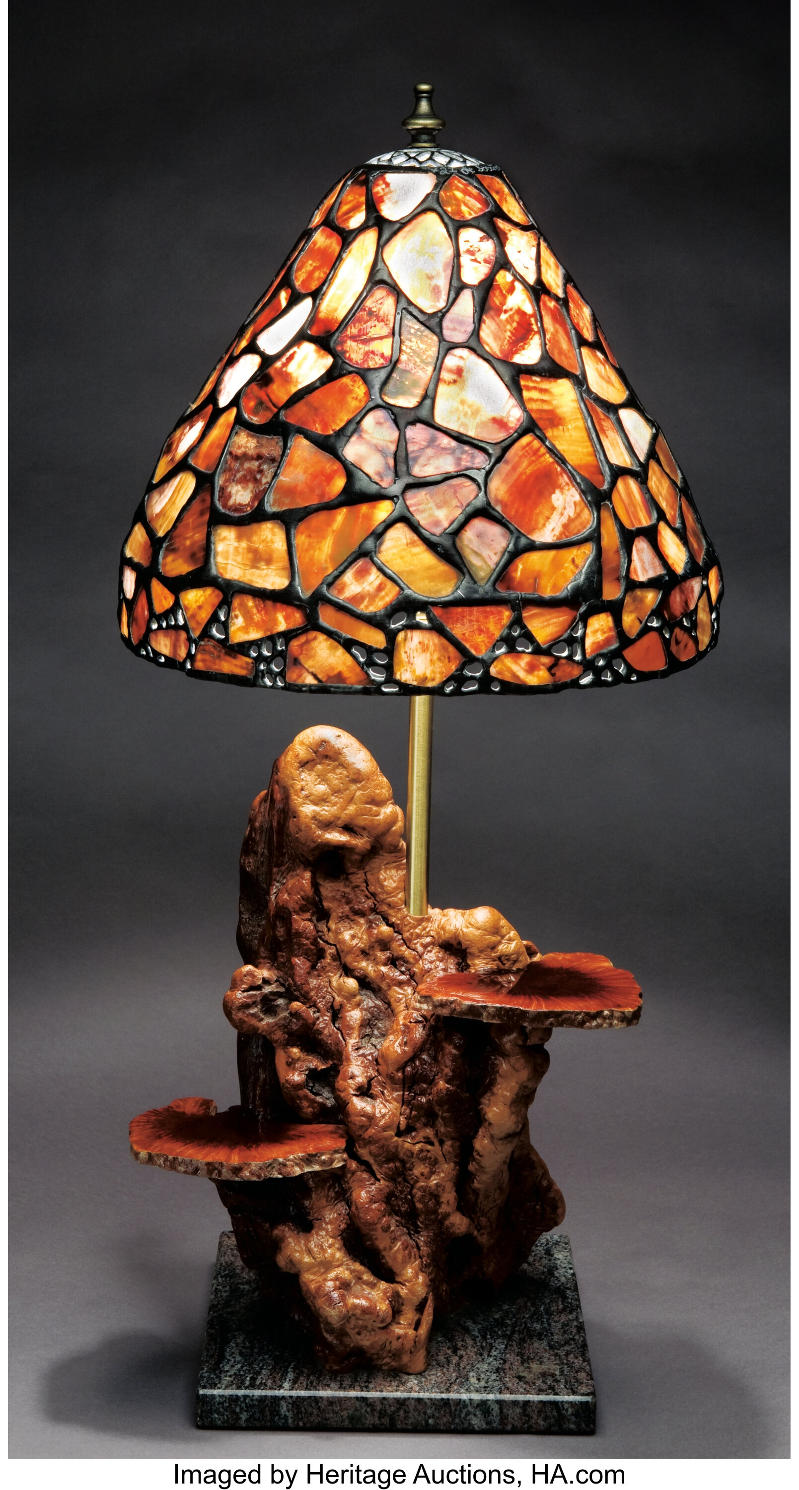 Petrified on sale wood lamp