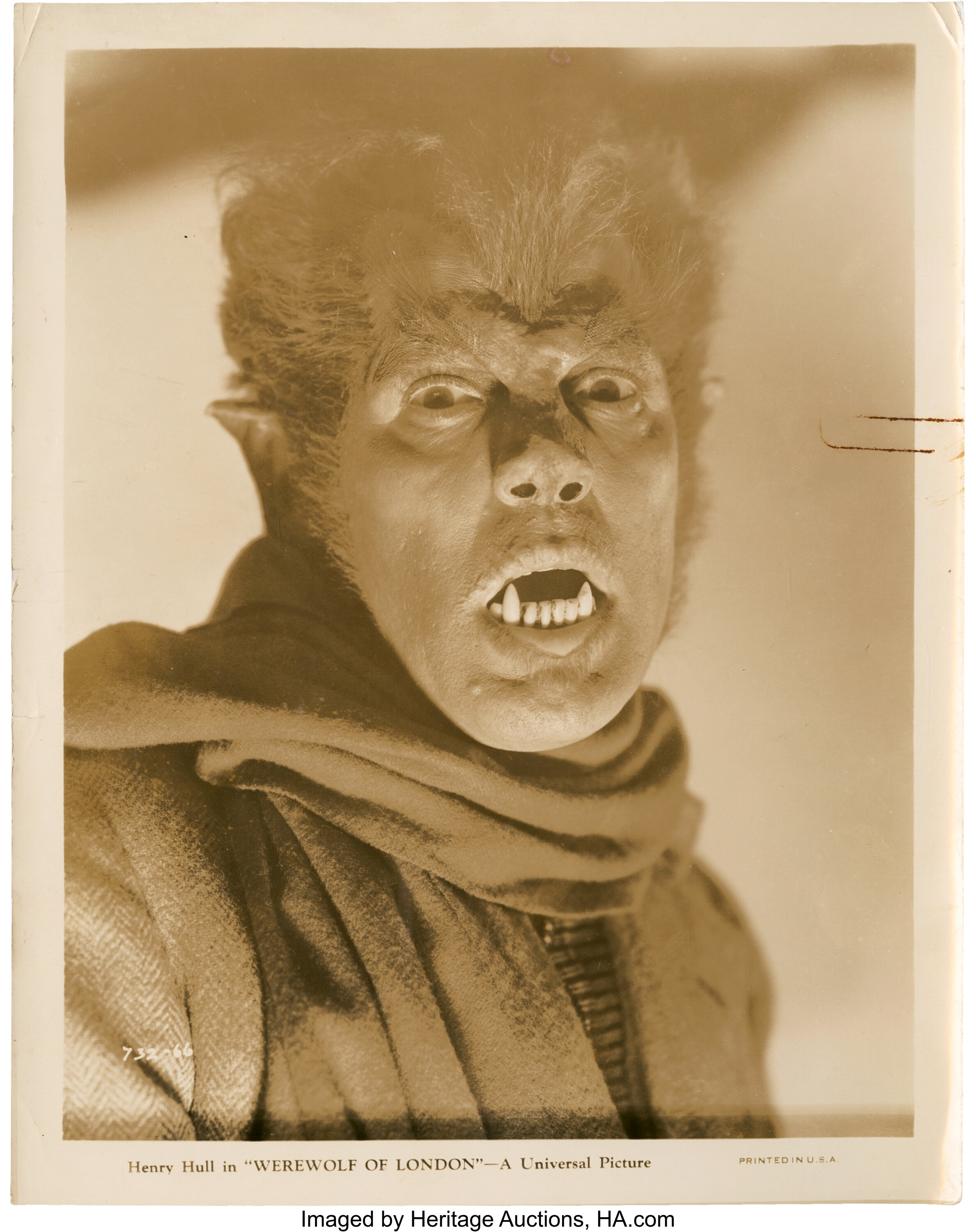 Werewolf of London (1935) - IMDb