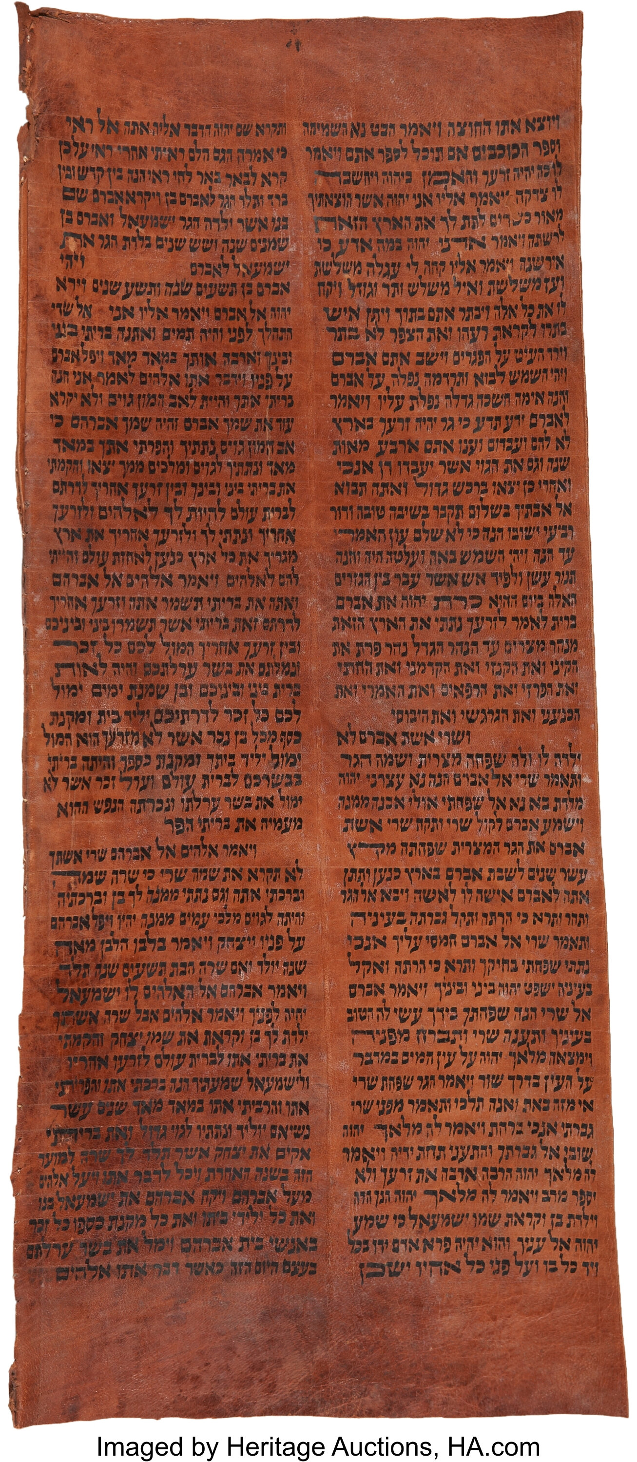 Torah Scroll Fragment