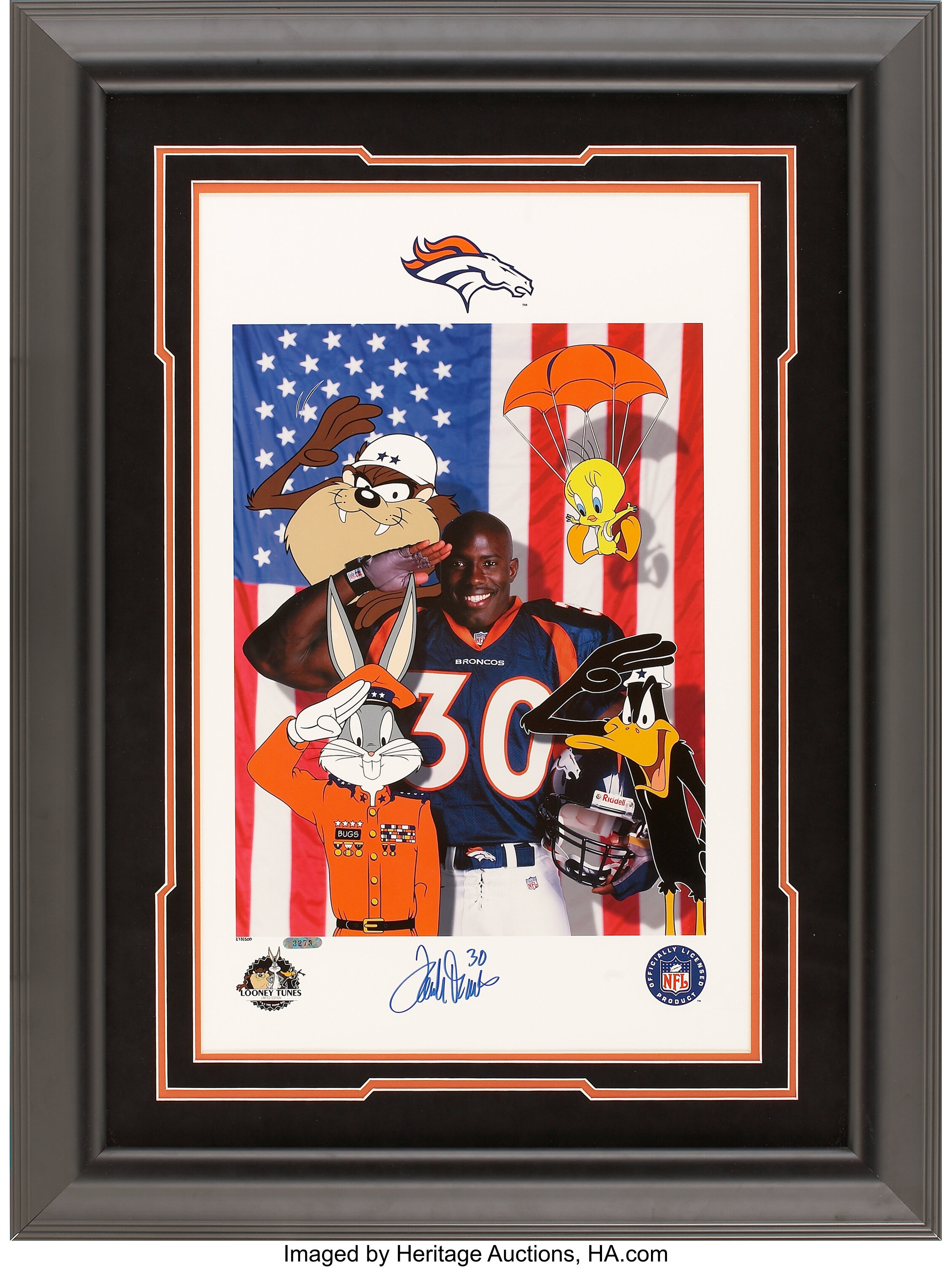 Rare Terrell Davis Denver Broncos Art Print 