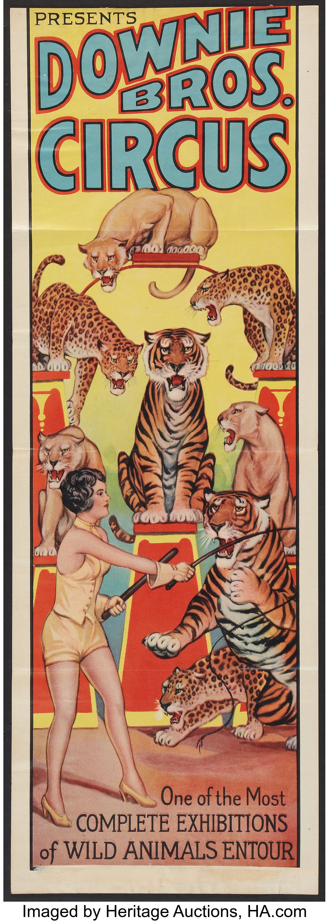 circus tiger posters