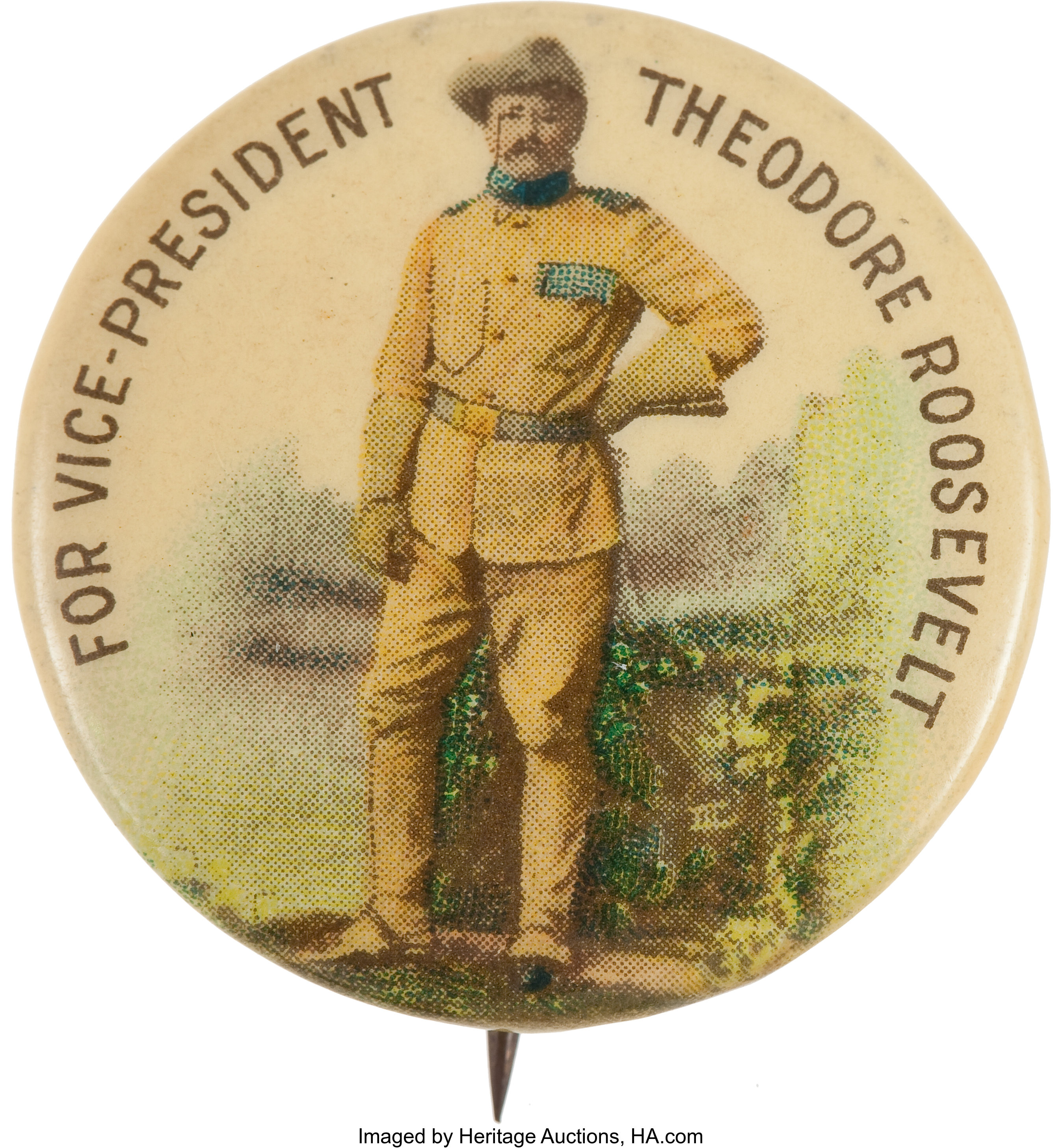 theodore roosevelt vice president