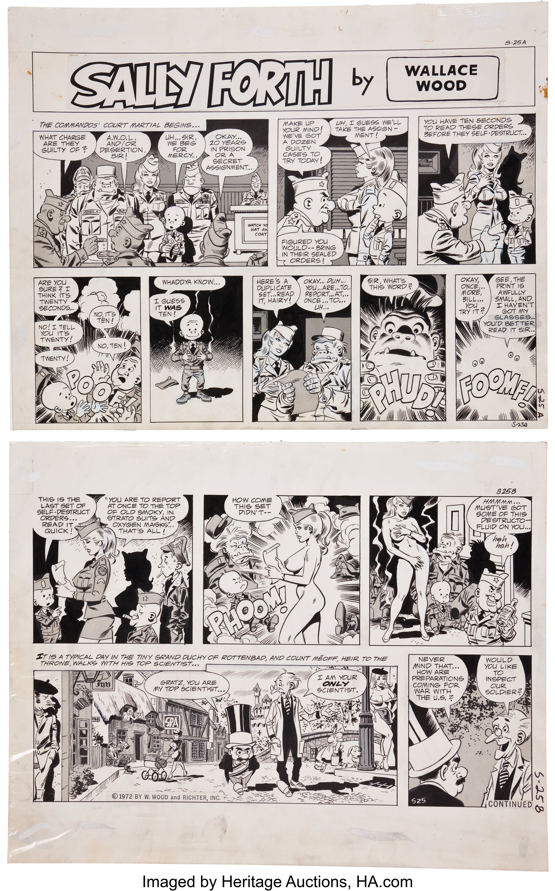 Sally Forth Comics: A Time Capsule Of Our Collective Past And Present