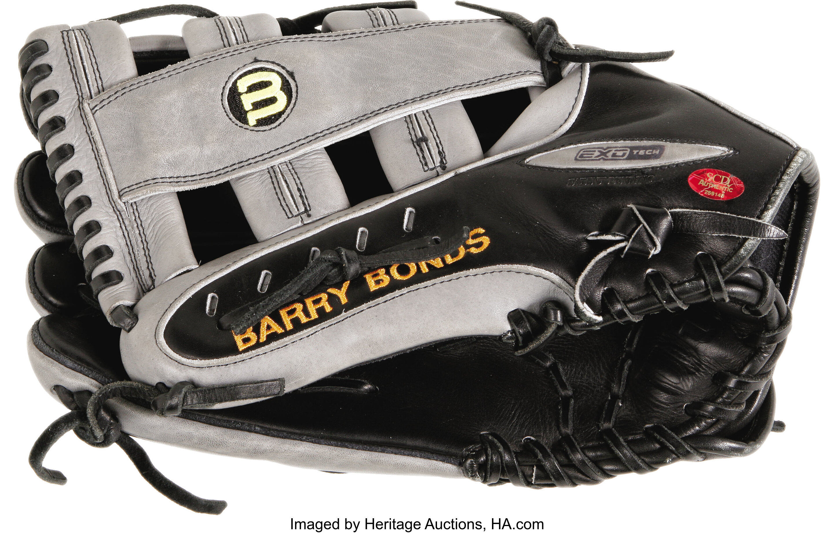 Barry hotsell bonds glove