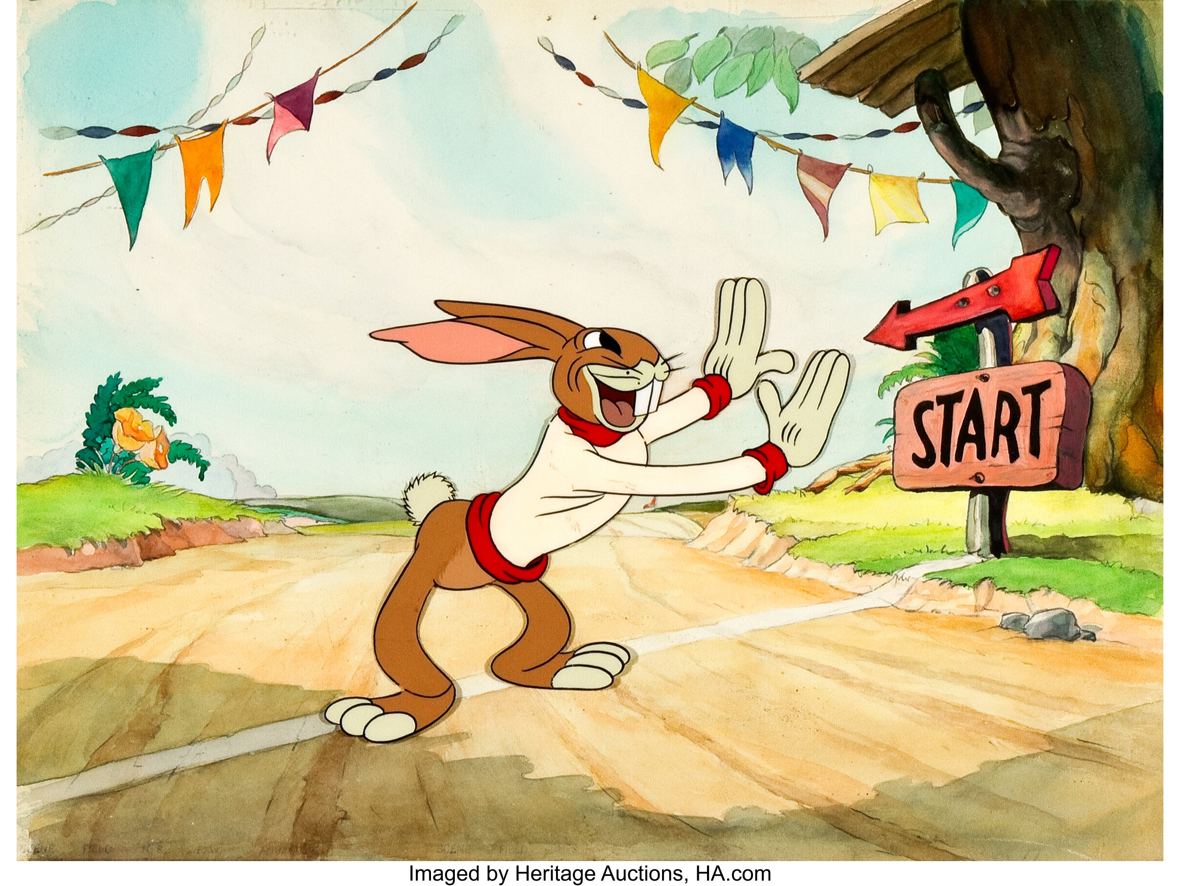 the tortoise and the hare disney