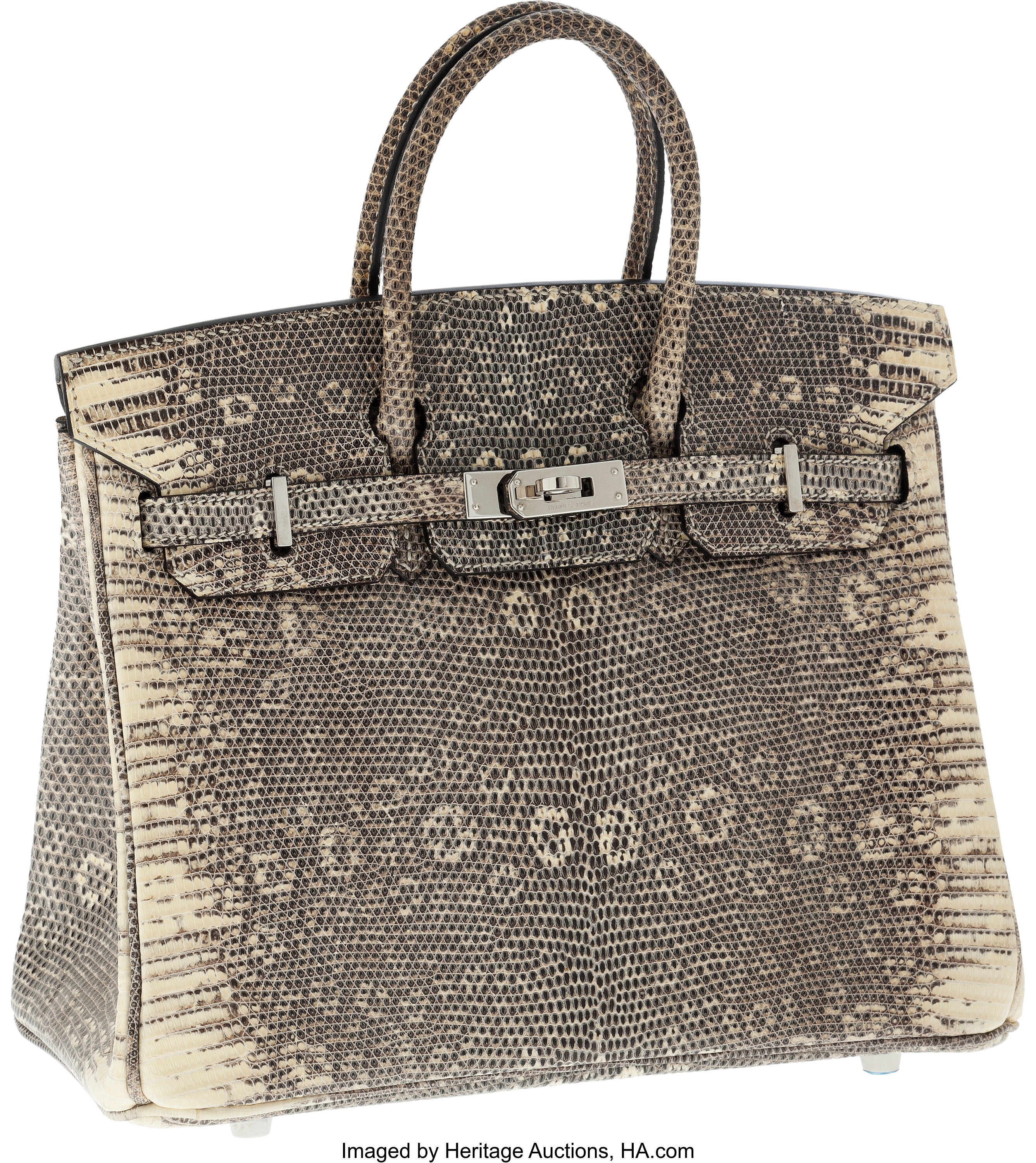Sold at Auction: HERMES BIRKIN 25 IN OMBRE LIZARD WITH PALLADIUM HARDWARE