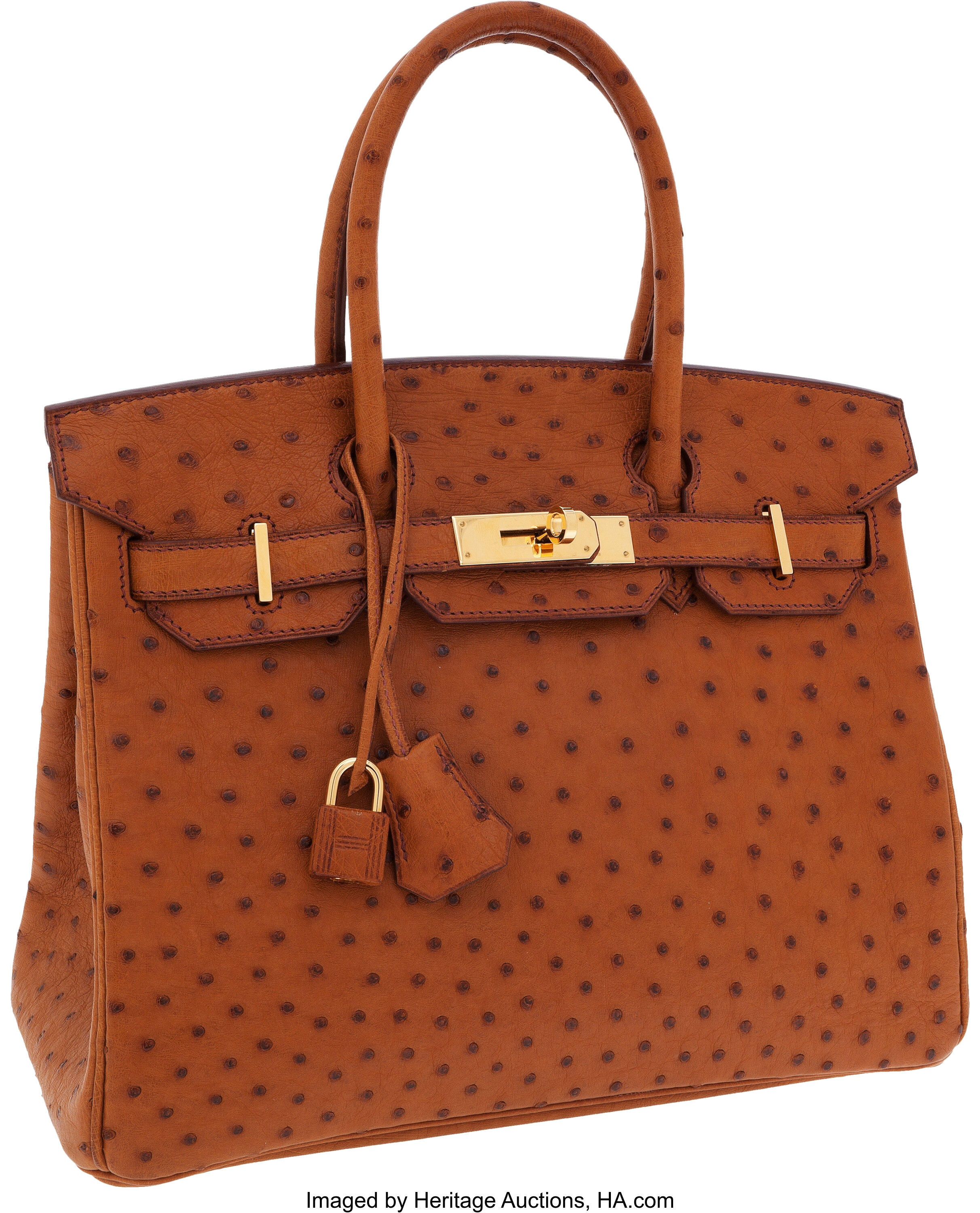 Hermes Kelly Bag Ostrich Leather Gold Hardware In Orange