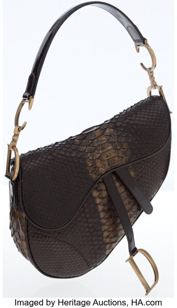 Dior saddle shop bag python