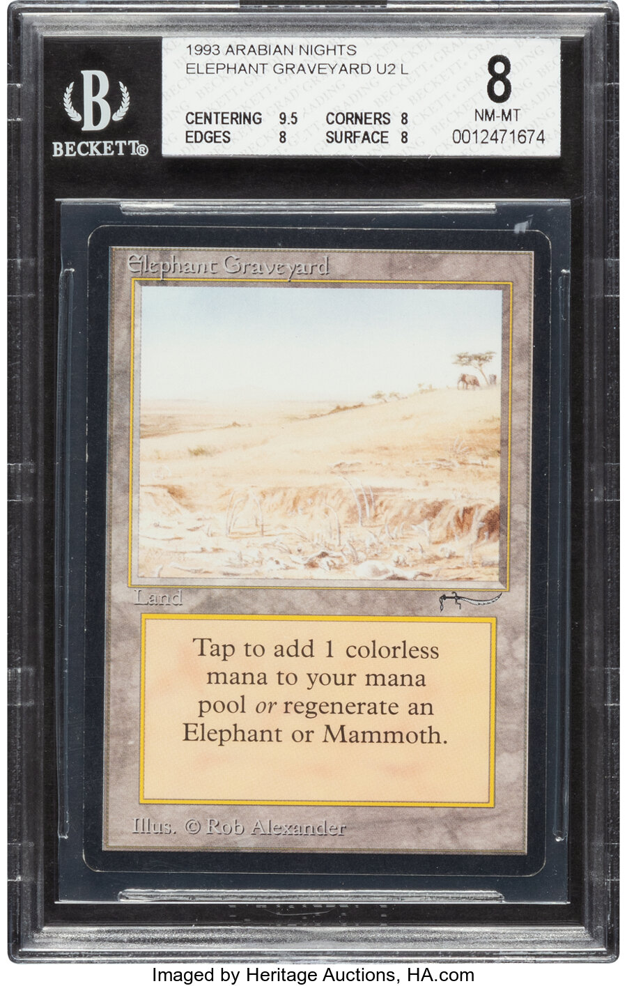 Magic: The Gathering Elephant Graveyard Arabian Nights Edition BGS 8 (Wizards of the Coast, 1993)