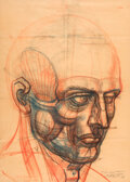 Burne Hogarth - Anatomical Head Sketch Original Art (1983) Comic Art