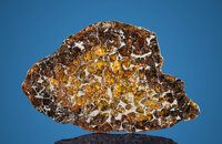 Seymchan Meteorite End Cut Pallasite, PMG Magadanskaya oblast', Russia - (62° 54'N, 152° 26'E) Found: June 1967