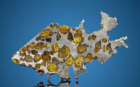 Imilac Meteorite Slab Pallasite, PMG Antofagasta, Chile - (24° 12' 12"S, 68° 48' 24"W) Found: 1822