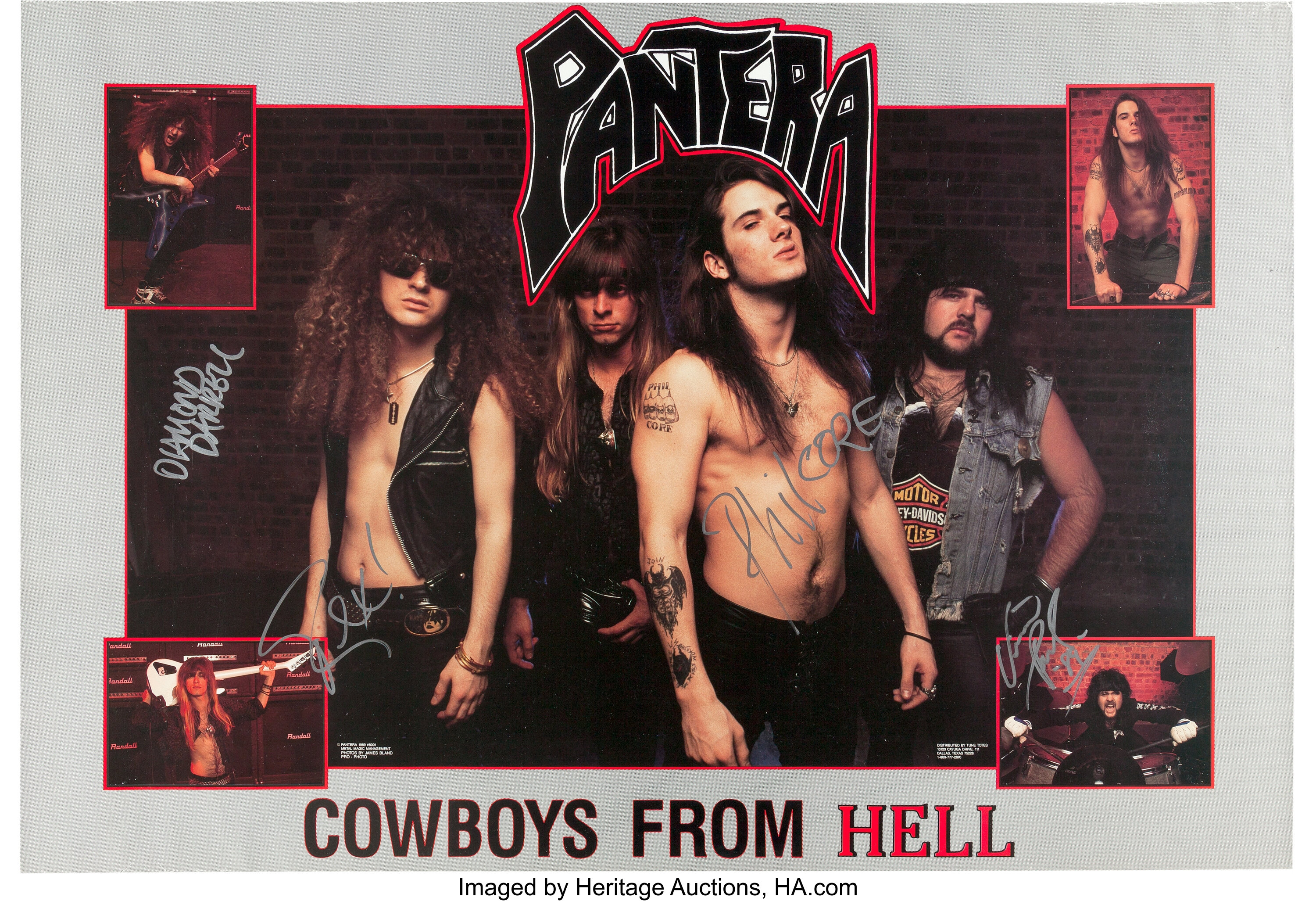 Pantera What does